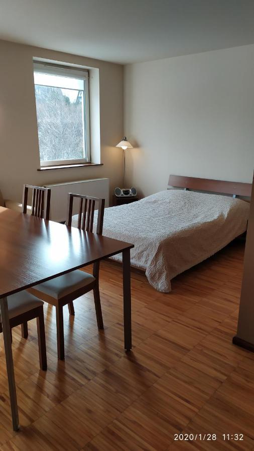 Zawoja1560 Apartamenty Przy Aptece Bagian luar foto